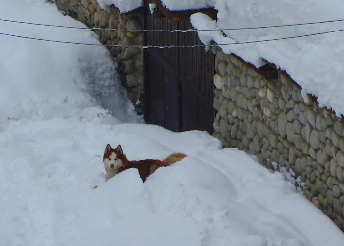 Family Santo Hotel 3*