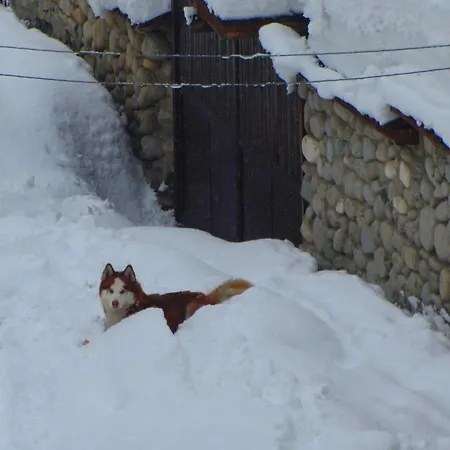 Family Santo Ξενοδοχείο 3*